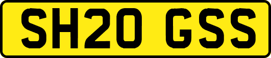 SH20GSS
