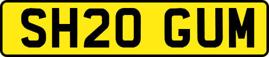 SH20GUM