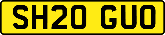 SH20GUO