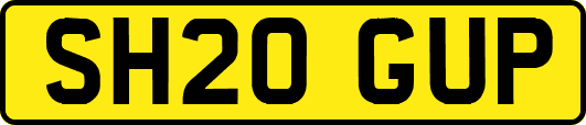 SH20GUP