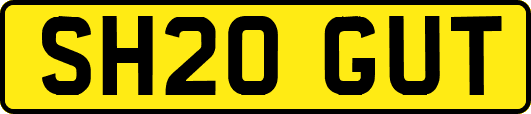 SH20GUT
