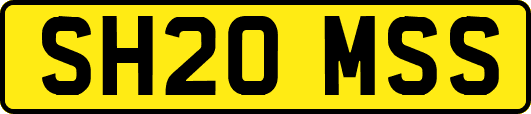 SH20MSS