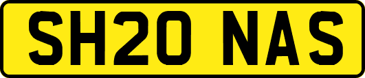 SH20NAS