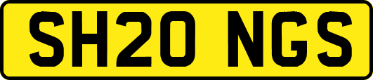 SH20NGS