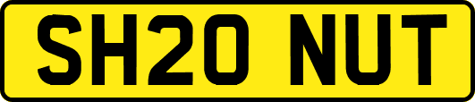 SH20NUT