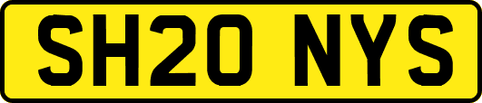 SH20NYS