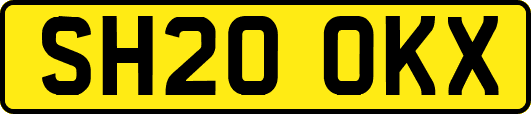 SH20OKX