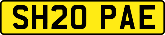 SH20PAE