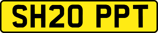 SH20PPT