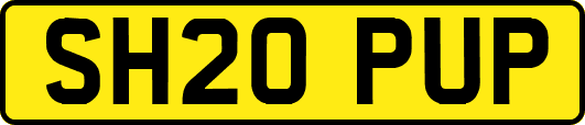 SH20PUP