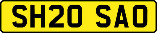SH20SAO