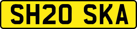 SH20SKA