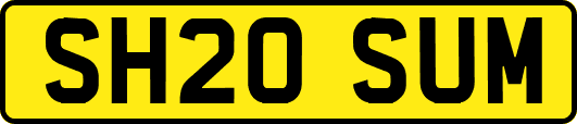 SH20SUM