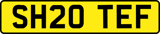 SH20TEF