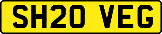 SH20VEG