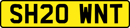 SH20WNT