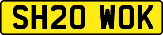 SH20WOK