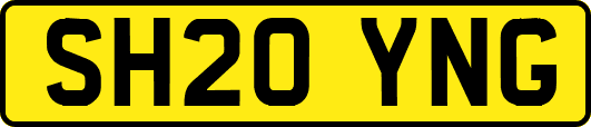 SH20YNG