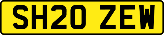 SH20ZEW