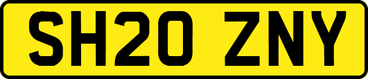 SH20ZNY