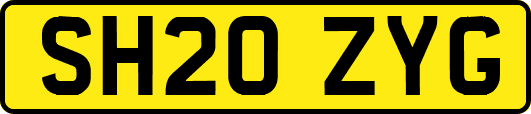 SH20ZYG