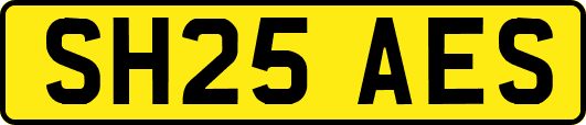 SH25AES