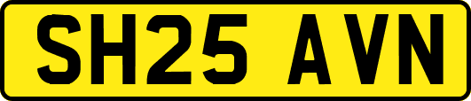 SH25AVN