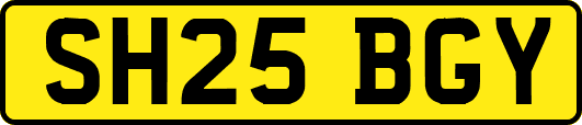 SH25BGY