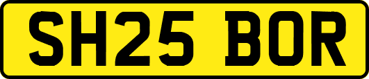 SH25BOR