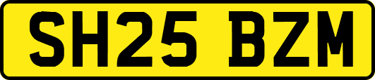 SH25BZM