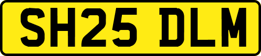 SH25DLM