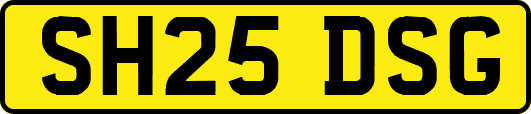 SH25DSG