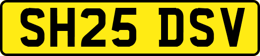 SH25DSV