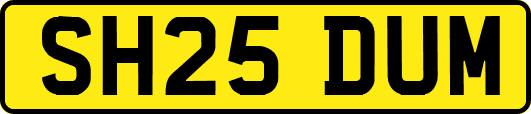 SH25DUM