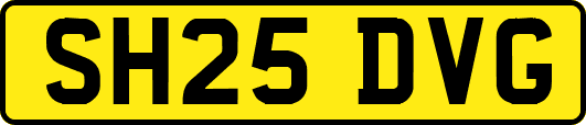 SH25DVG