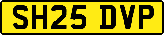 SH25DVP
