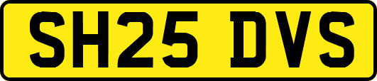 SH25DVS