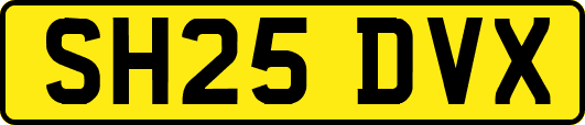 SH25DVX
