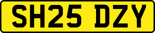 SH25DZY