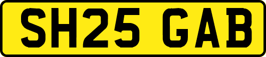 SH25GAB