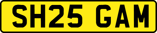 SH25GAM
