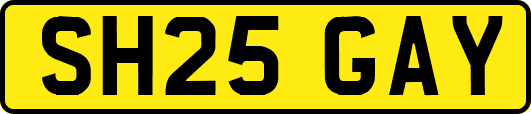 SH25GAY