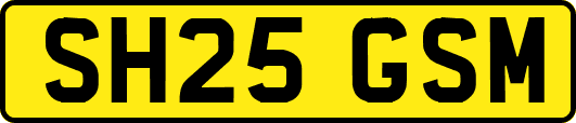 SH25GSM