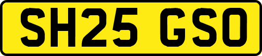 SH25GSO
