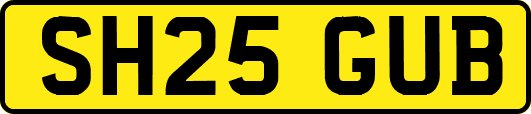 SH25GUB