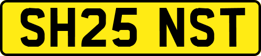 SH25NST