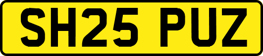 SH25PUZ