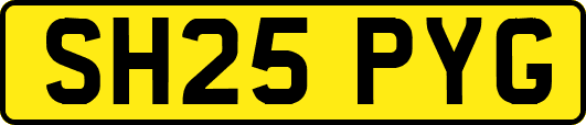 SH25PYG