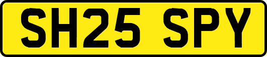 SH25SPY