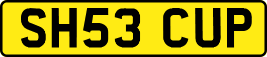 SH53CUP